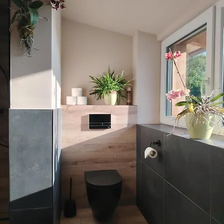 شقة Orchidee - Salzkammernest باد اسشي