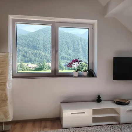 Orchidee - Salzkammernest * Bad Ischl