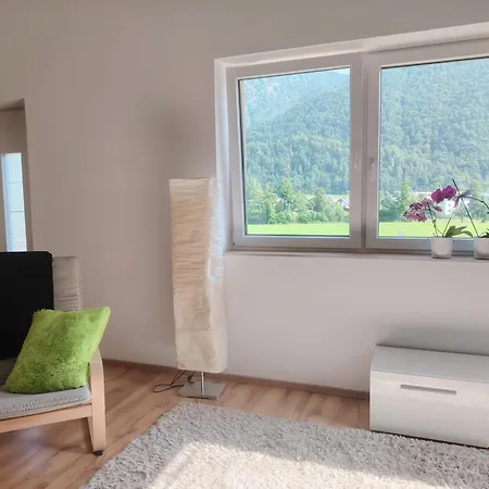 Orchidee - Salzkammernest