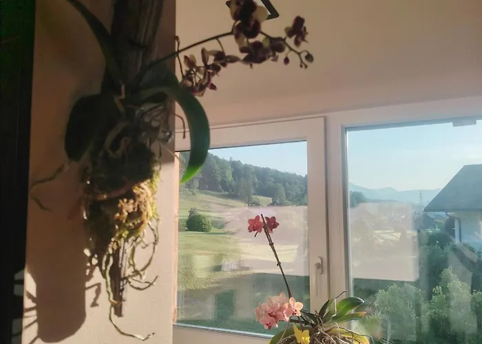 Orchidee - Salzkammernest * Bad Ischl