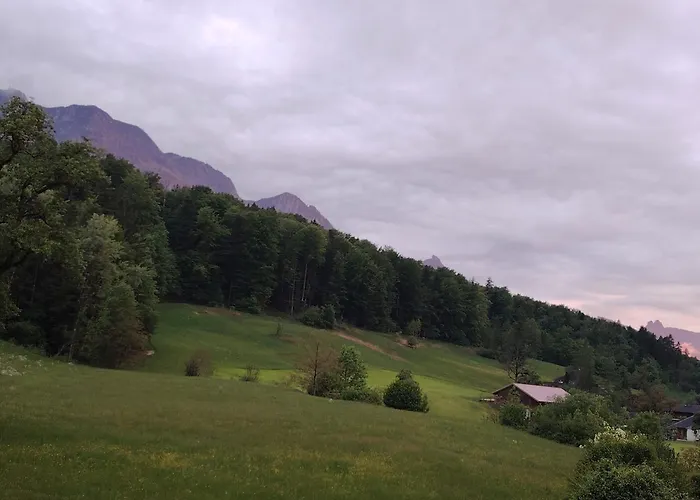 Orchidee - Salzkammernest Apartment