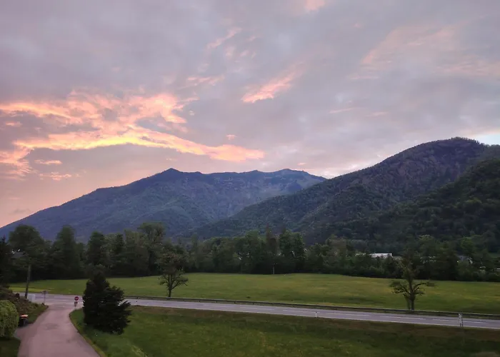 Orchidee - Salzkammernest * באד אישל