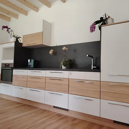 Orchidee - Salzkammernest