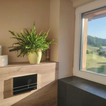 Orchidee - Salzkammernest 巴德伊舍