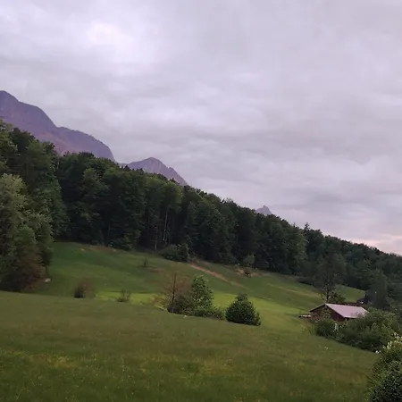 Orchidee - Salzkammernest 公寓