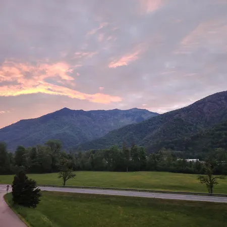 Orchidee - Salzkammernest * 巴德伊舍