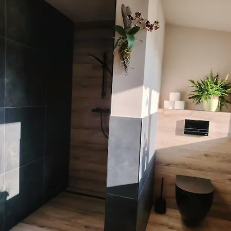 Orchidee - Salzkammernest Apartman