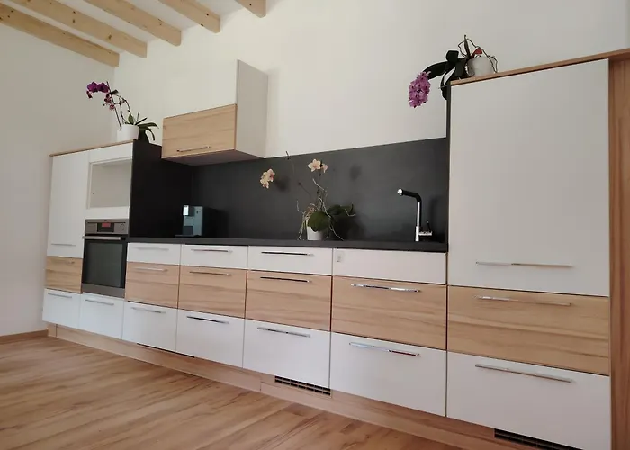 Orchidee - Salzkammernest