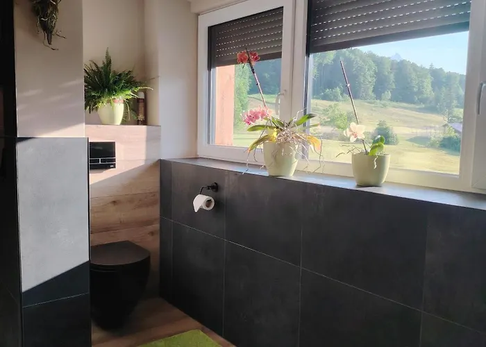 Orchidee - Salzkammernest 公寓 *